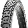 Maxxis Assegai 29-inch